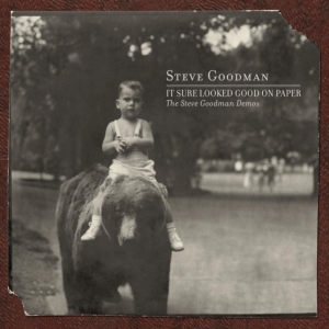 Goodman Steve - It Sure Looked Good On Paper: ryhmässä VINYYLI @ Bengans Skivbutik AB (3977591)
