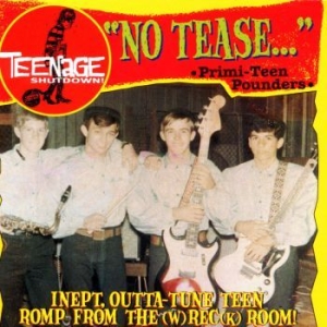 Various Artists - Teenage Shut Down - No Tease ryhmässä CD @ Bengans Skivbutik AB (3977712)