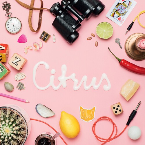 Animal Daydream - Citrus Ep ryhmässä VINYYLI / Rock @ Bengans Skivbutik AB (3979456)