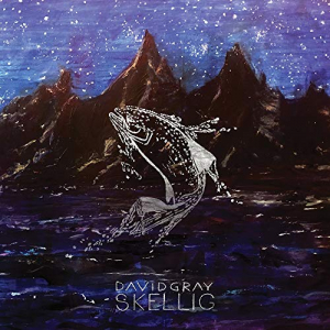 Gray David - Skellig ryhmässä VINYYLI @ Bengans Skivbutik AB (3979523)