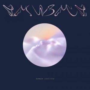 Hainbach - Landfill Totems ryhmässä VINYYLI @ Bengans Skivbutik AB (3979570)
