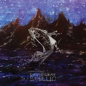 Gray David - Skellig ryhmässä CD @ Bengans Skivbutik AB (3979679)