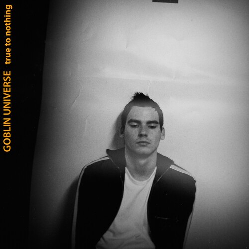 Goblin Universe - True To Nothing ryhmässä CD / Rock @ Bengans Skivbutik AB (3979707)