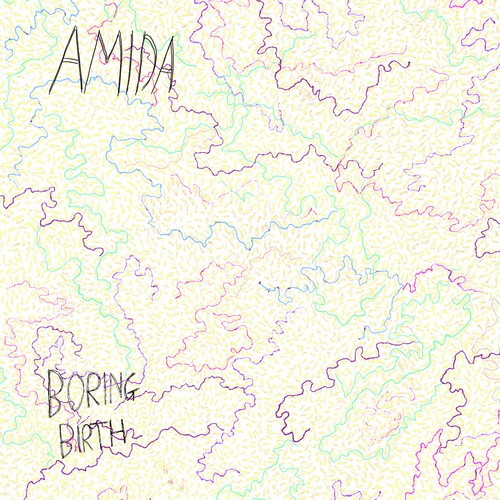 Amida - Boring Birth ryhmässä CD / Rock @ Bengans Skivbutik AB (3979744)