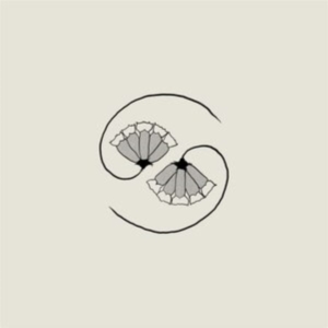 Godspeed You! Black Emperor - G_D's Pee At State's End! ryhmässä Minishops / Godspeed You @ Bengans Skivbutik AB (3981825)