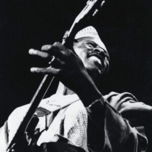 Ali Farka Touré - The Source ryhmässä -Start Vinyl-N @ Bengans Skivbutik AB (3981863)