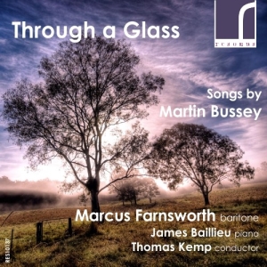 Bussey Martin - Through A Glass: Songs By Martin Bu ryhmässä CD @ Bengans Skivbutik AB (3982560)