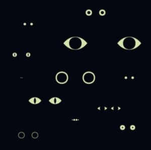 Birgitte Alsted Anders Brodsgaard - Animal Universe ryhmässä CD @ Bengans Skivbutik AB (3983134)
