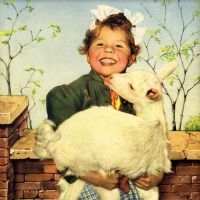 Euler-Donnersperg Ditterich Von - Weisheit Aus Des Kindes Mund Tut Un ryhmässä VINYYLI @ Bengans Skivbutik AB (3983336)