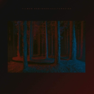 Robinson Tilman - Culturecide ryhmässä VINYYLI @ Bengans Skivbutik AB (3983352)