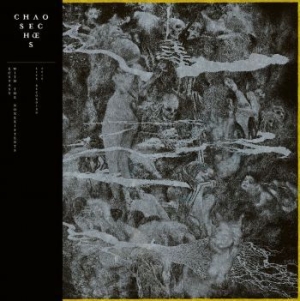 Chaos Echoes - Ecstasy With The Nonexistents ryhmässä VINYYLI @ Bengans Skivbutik AB (3983379)