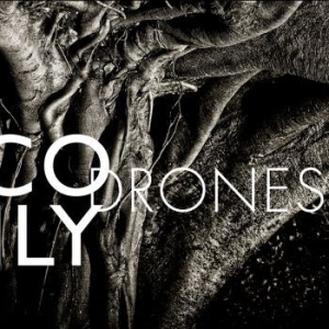 Nico Muhly - Drones ryhmässä CD @ Bengans Skivbutik AB (3983406)