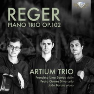 Reger Max - Piano Trio, Op.102 ryhmässä CD @ Bengans Skivbutik AB (3983470)