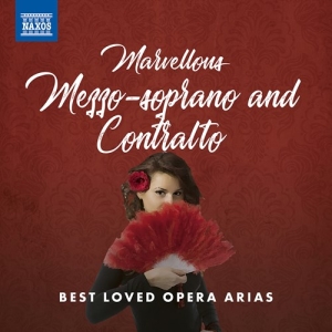 Various - Marvellous Mezzo-Soprano And Contra ryhmässä CD @ Bengans Skivbutik AB (3985310)