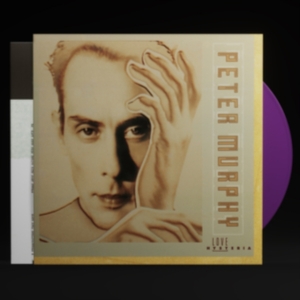 Murphy Peter - Love Hysteria (Re-Issue Indigo Viny ryhmässä VINYYLI @ Bengans Skivbutik AB (3985642)