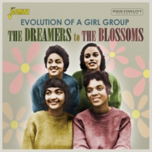 Various Artists - Dreamers To The Blossoms - Evolutio ryhmässä CD @ Bengans Skivbutik AB (3986998)
