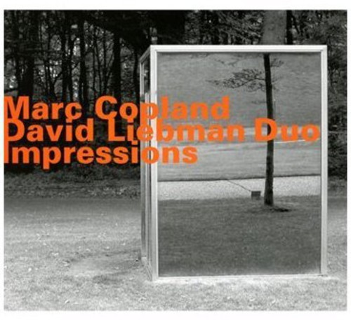 David Liebman-Marc Copland Duo - Impressions ryhmässä CD / Jazz/Blues @ Bengans Skivbutik AB (3987068)