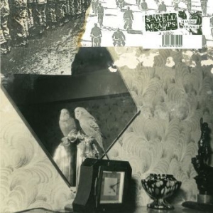 Swell Maps - Mayday Signals ryhmässä CD @ Bengans Skivbutik AB (3987570)