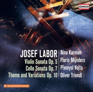 Josef Labor - Violin Sonata, Op. 5, Cello Sonata, ryhmässä Externt_Lager / Naxoslager @ Bengans Skivbutik AB (3988823)