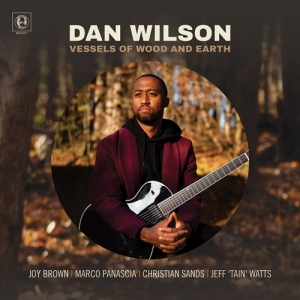 Dan Wilson - Vessels Of Wood And Earth ryhmässä CD @ Bengans Skivbutik AB (3988841)