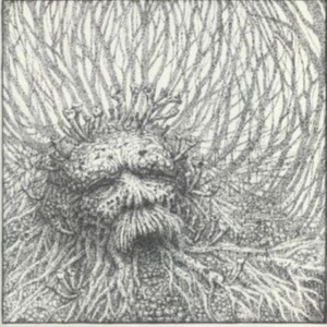 Nemorous - Nemorous (Vinyl Lp + Cd) ryhmässä VINYYLI @ Bengans Skivbutik AB (3989955)
