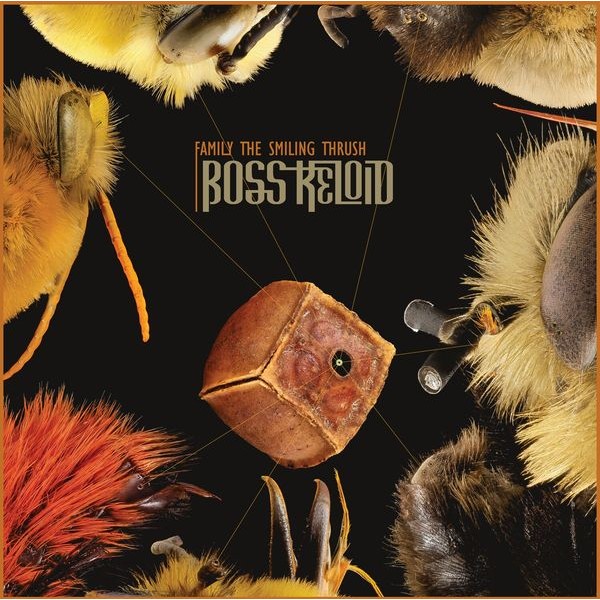 Boss Keloid - Family The Smiling Thrush ryhmässä VINYYLI / Hårdrock/ Heavy metal @ Bengans Skivbutik AB (3990266)