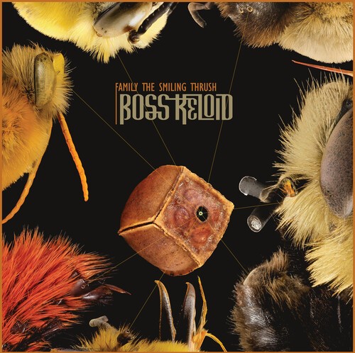 Boss Keloid - Family The Smiling Thrush ryhmässä CD / Myydyimmät @ Bengans Skivbutik AB (3990321)