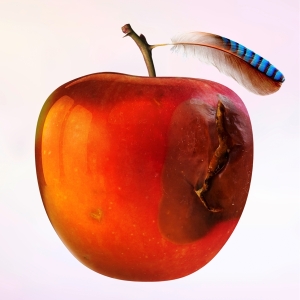 International Music - Ententraum ryhmässä VINYYLI @ Bengans Skivbutik AB (3990445)