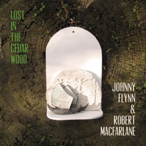 Johnny Flynn - Lost In The Cedar Wood ryhmässä CD @ Bengans Skivbutik AB (3992485)