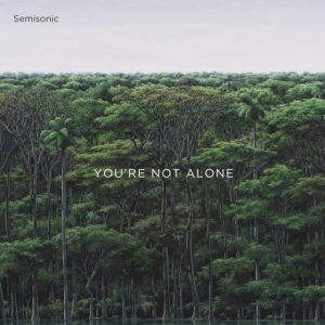 Semisonic - You're Not Alone ryhmässä VINYYLI @ Bengans Skivbutik AB (3992885)