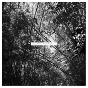 Pekler Andrew - Tristes Tropiques ryhmässä VINYYLI @ Bengans Skivbutik AB (3994358)