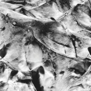 Tietchens Asmus/Miki Yui - Neues Boot ryhmässä CD @ Bengans Skivbutik AB (3994381)