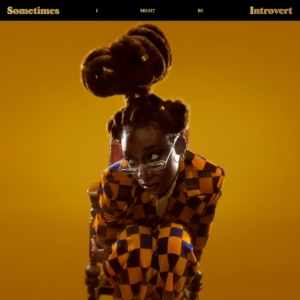 Little Simz - Sometimes I Might Be Introvert (Clear Vi ryhmässä ME SUOSITTELEMME / Bengans Henkilökunnan Vinkit / Elis recommends @ Bengans Skivbutik AB (3997813)