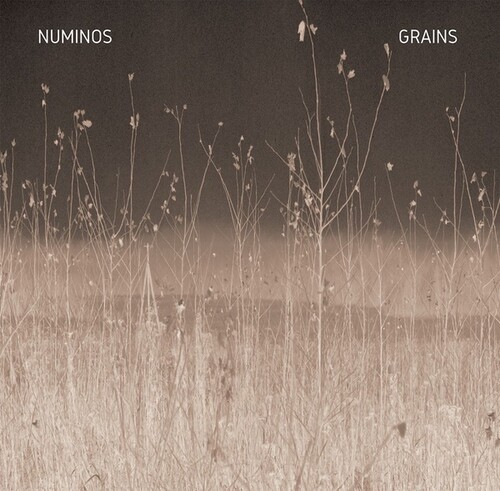 Numinos - Grains ryhmässä VINYYLI / Rock @ Bengans Skivbutik AB (3997835)