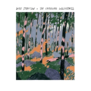 Stratton Will - Changing Wilderness ryhmässä CD @ Bengans Skivbutik AB (4000947)