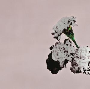 Legend John - Love In The Future (Special Edition) ryhmässä CD @ Bengans Skivbutik AB (4005256)