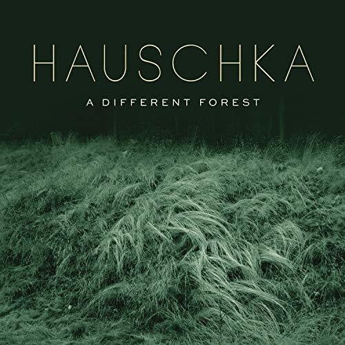 Hauschka - A Different Forest ryhmässä CD / Klassiskt @ Bengans Skivbutik AB (4007058)
