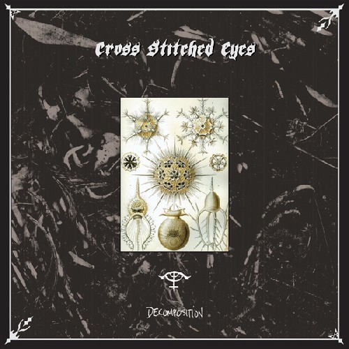 Cross Stitched Eyes - Decomposition ryhmässä CD / Myydyimmät @ Bengans Skivbutik AB (4008258)