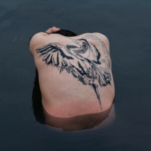 Jodi - Blue Heron (Metallic Silver Vinyl) ryhmässä VINYYLI @ Bengans Skivbutik AB (4009031)
