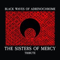 Various Artists - Sisters Of Mercy Tribute ryhmässä CD @ Bengans Skivbutik AB (4010941)