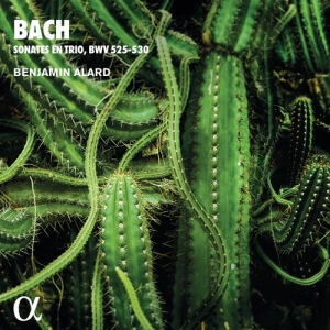 Bach Johann Sebastian - Trio Sonatas For Organ, Bwv 525-530 ryhmässä CD @ Bengans Skivbutik AB (4011325)