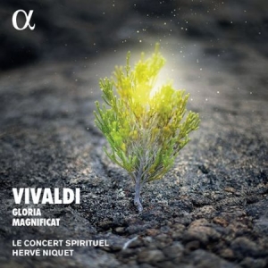 Vivaldi Antonio - Gloria & Magnificat ryhmässä CD @ Bengans Skivbutik AB (4011336)