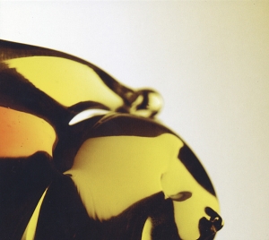 Hooray For Earth - True Loves ryhmässä CD @ Bengans Skivbutik AB (4011448)