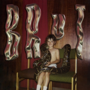 Brodka - Brut ryhmässä CD @ Bengans Skivbutik AB (4014193)
