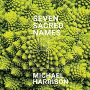 Harrison Michael - Seven Sacred Names ryhmässä CD @ Bengans Skivbutik AB (4014216)