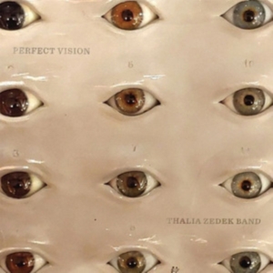 Thalia Zedek Band - Perfect Vision (Crystal Clear Vinyl ryhmässä VINYYLI @ Bengans Skivbutik AB (4015576)