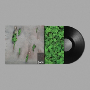Koreless - Agor ryhmässä VINYYLI @ Bengans Skivbutik AB (4016927)