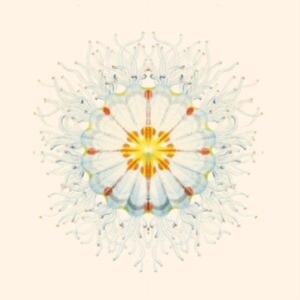 Charlie Charlie - Litte Things ryhmässä VINYYLI @ Bengans Skivbutik AB (4023022)