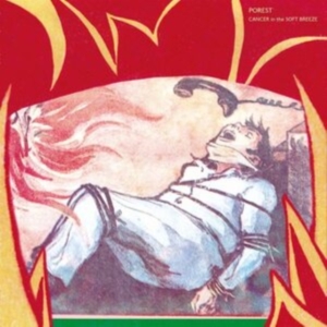 POREST - CANCER IN THE SOFT BREEZE ryhmässä VINYYLI @ Bengans Skivbutik AB (4023623)