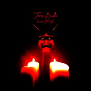 TARAS BULBA - SOMETIMES THE NIGHT ryhmässä VINYYLI @ Bengans Skivbutik AB (4027366)